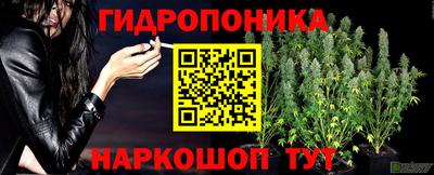 гидропоника Тула