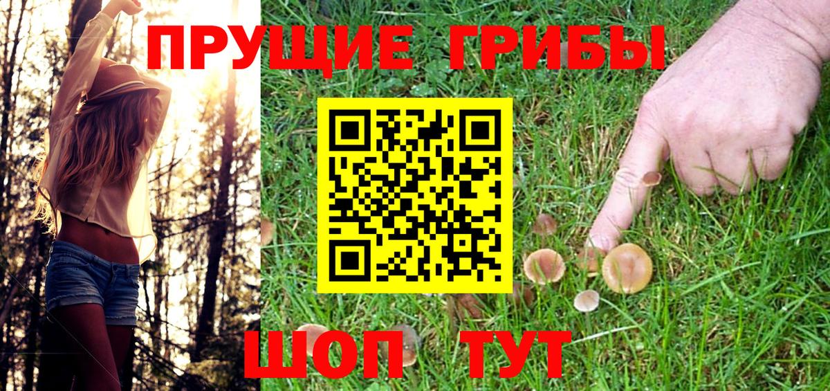 Галлюциногенные грибы Psilocybine cubensis  Вход с VPN  Псилоцибиновые грибы Psilocybine cubensis  Волжский 